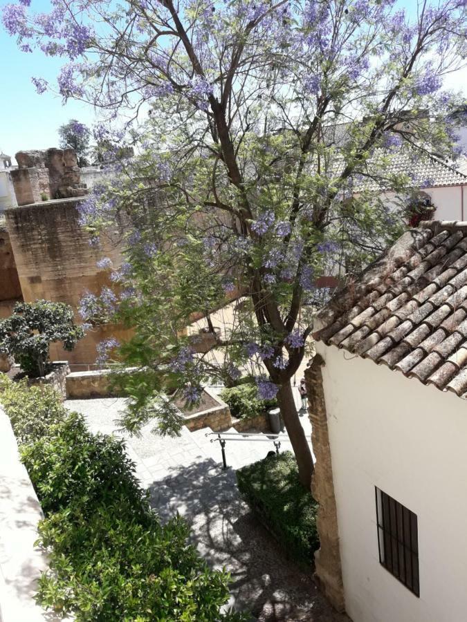 Los Tejares Del Alcazar Cordoue Extérieur photo